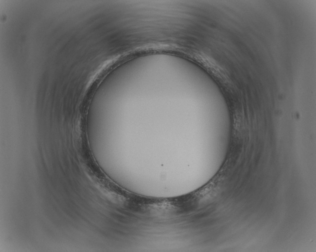 X0000073730112200608241307