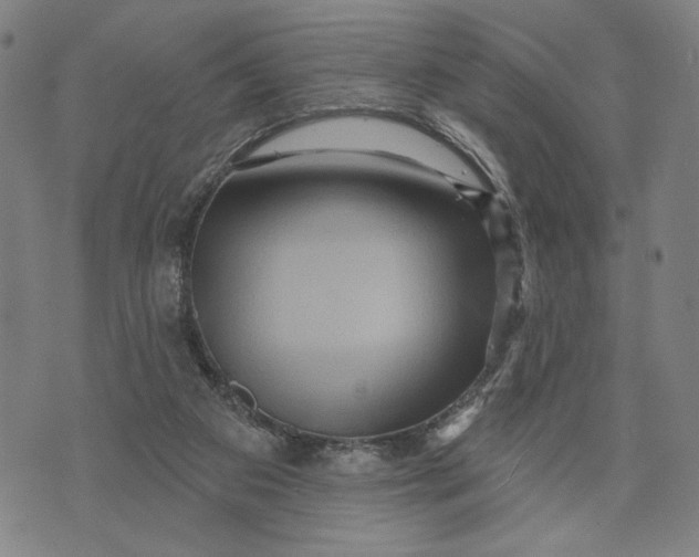 X0000073730113200608241307