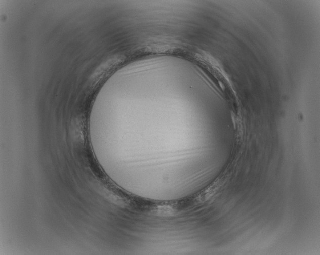 X0000073730114200608241307