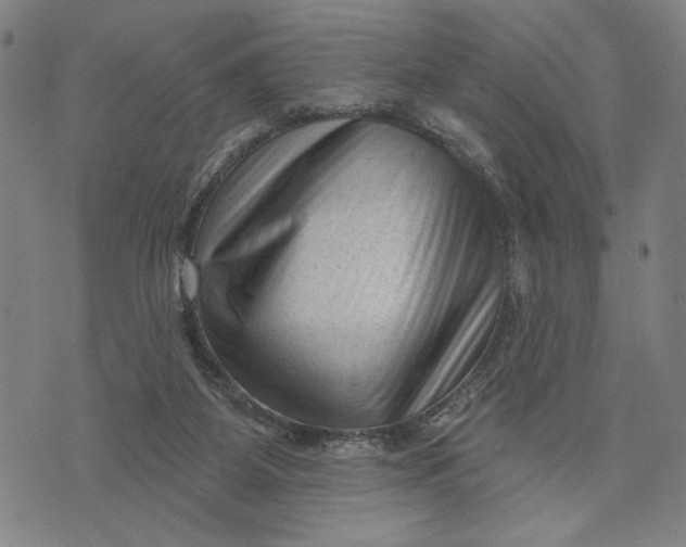 X0000073730115200608241307