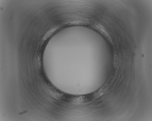 X0000073730116200608241307