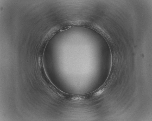 X0000073730117200608241307