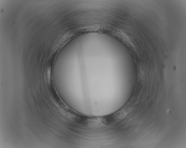 X0000073730118200608241307