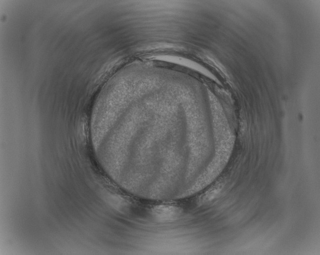 X0000073730119200608241306