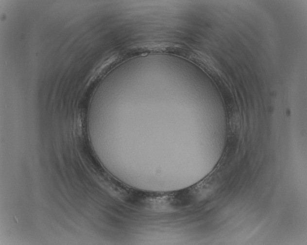 X0000073730120200608241306