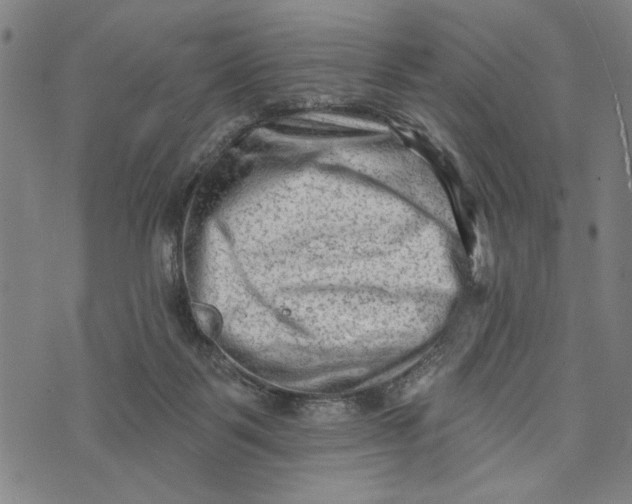 X0000073730123200608241306