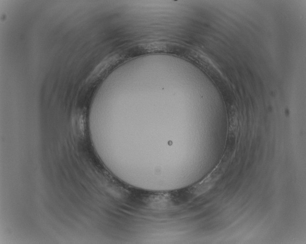 X0000073730124200608241306