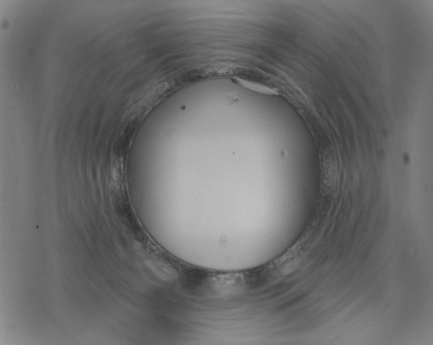 X0000073730126200608241306