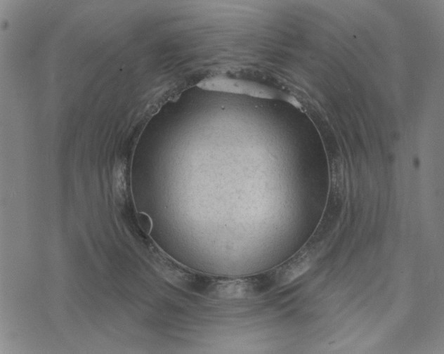 X0000073730127200608241306