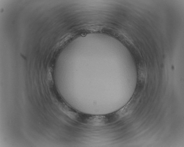 X0000073730128200608241306