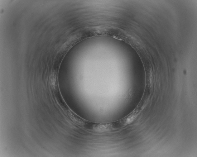 X0000073730129200608241306