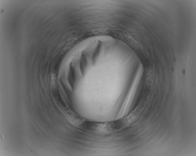 X0000073730130200608241306