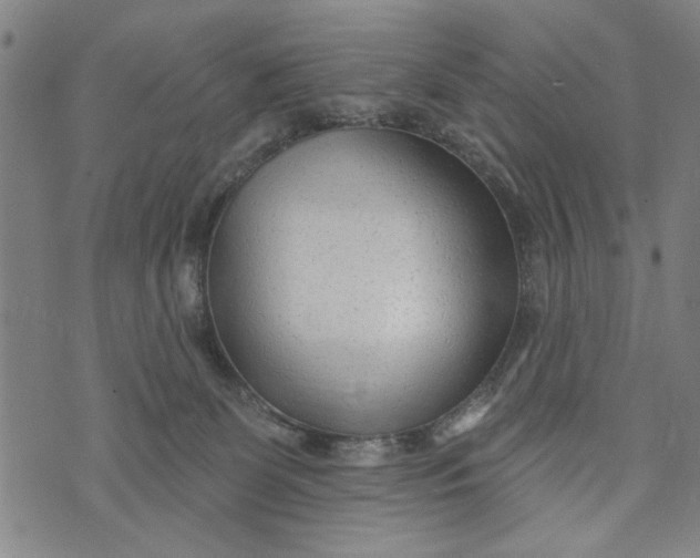 X0000073730131200608241306