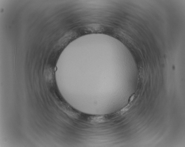 X0000073730132200608241306