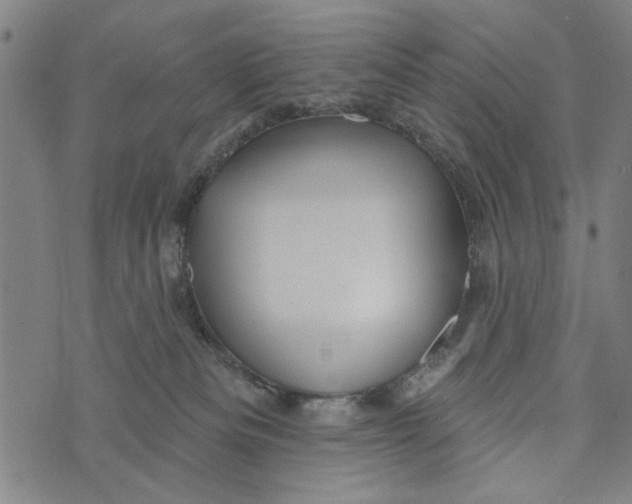 X0000073730133200608241306