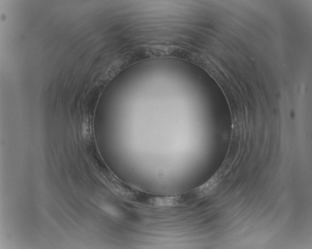 X0000073730134200608241306