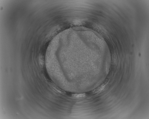 X0000073730135200608241306