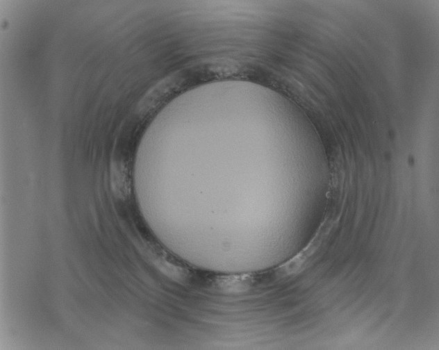 X0000073730136200608241306