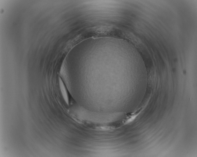 X0000073730137200608241306