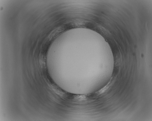 X0000073730140200608241306