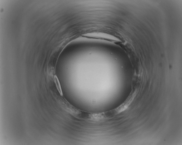 X0000073730141200608241306