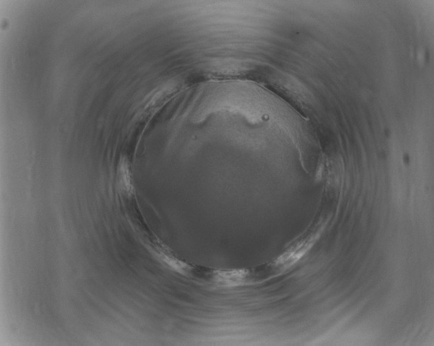 X0000073730143200608241306