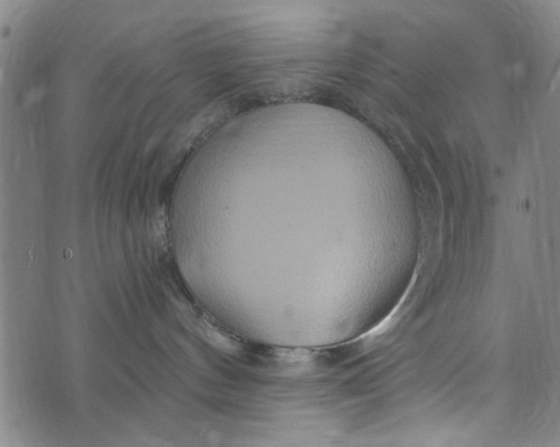 X0000073730144200608241306