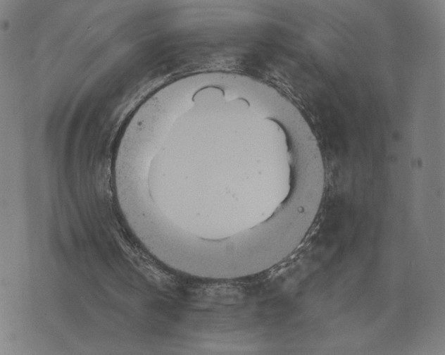 X0000073730146200608241305