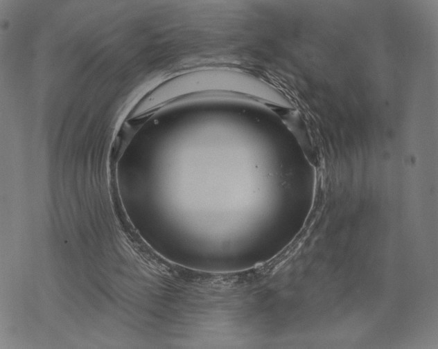 X0000073730148200608241305