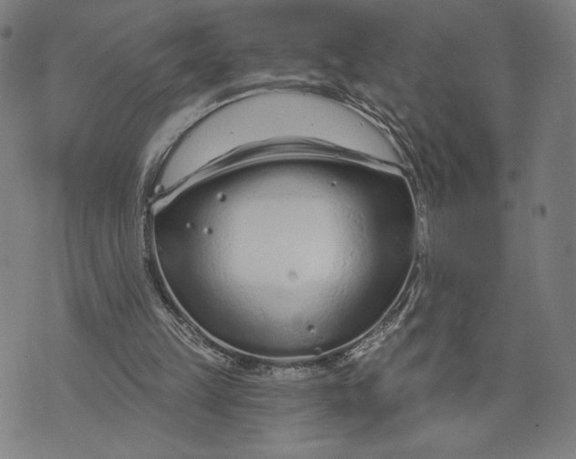 X0000073730149200608241305