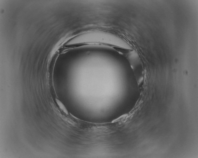 X0000073730150200608241305