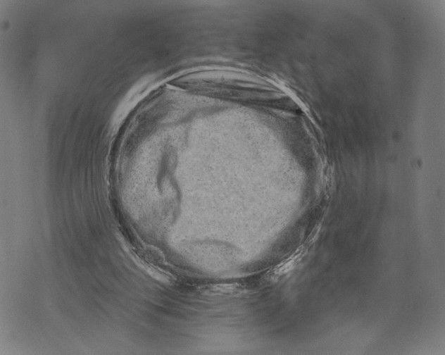 X0000073730151200608241305