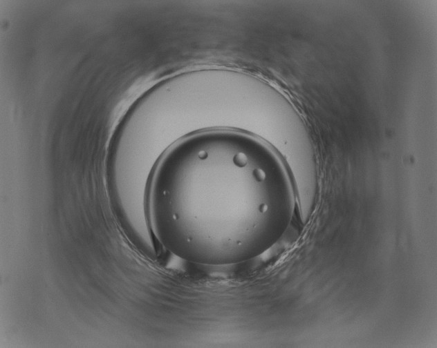 X0000073730152200608241305