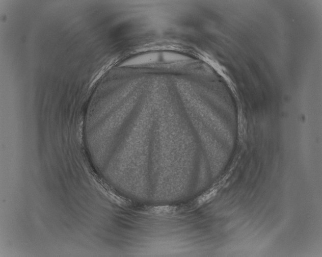 X0000073730153200608241305