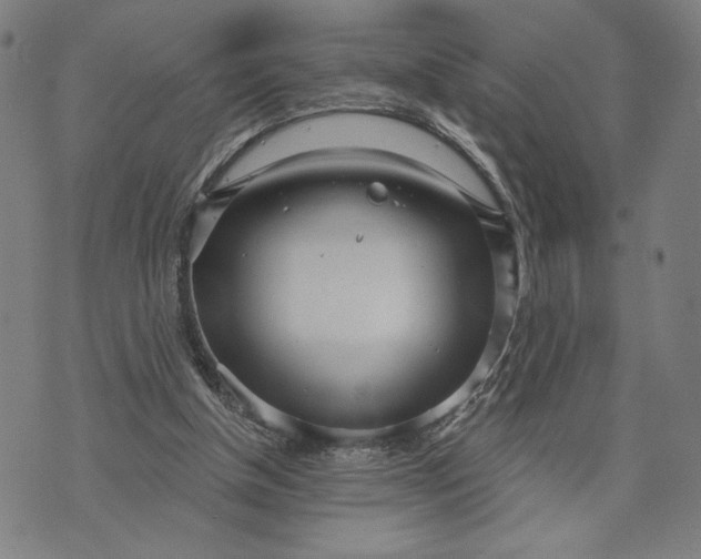 X0000073730154200608241305