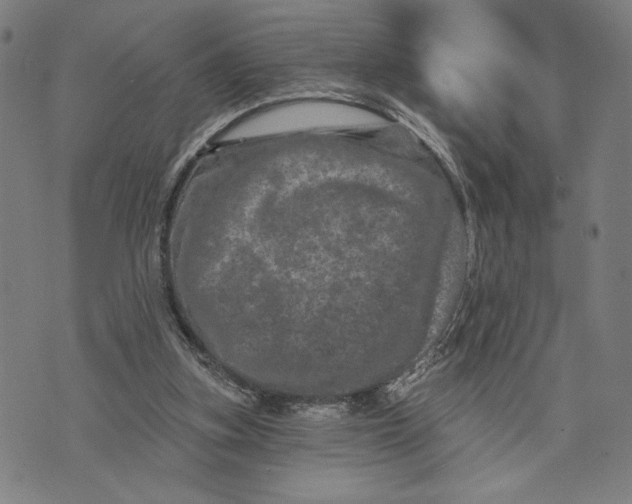 X0000073730155200608241305