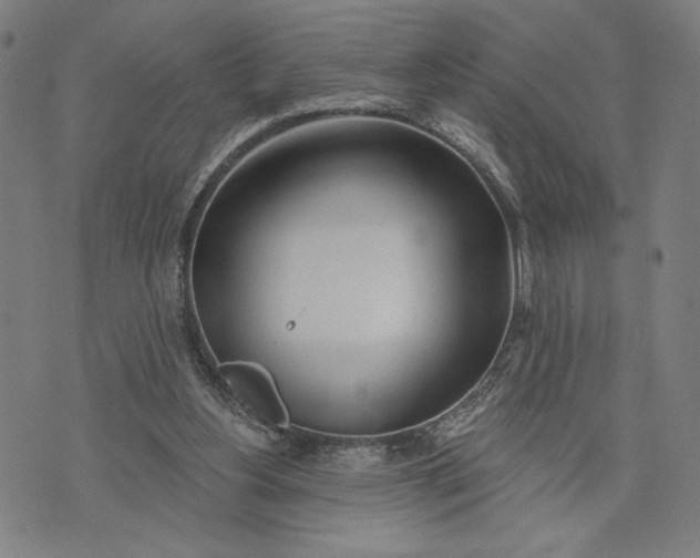 X0000073730156200608241305