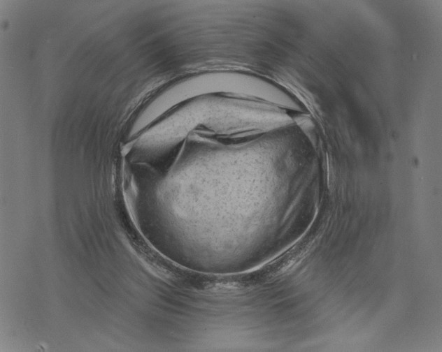 X0000073730157200608241306