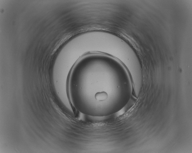 X0000073730158200608241306