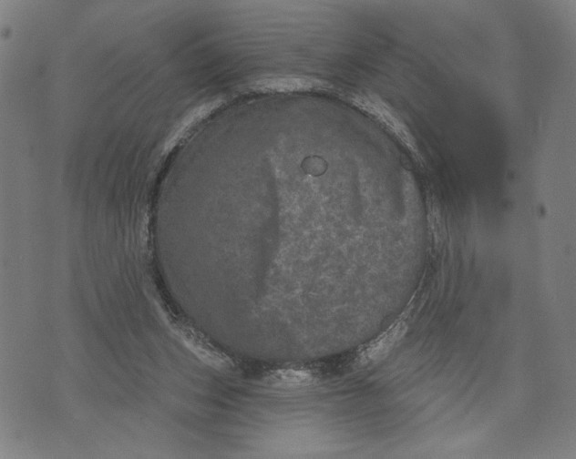 X0000073730159200608241306