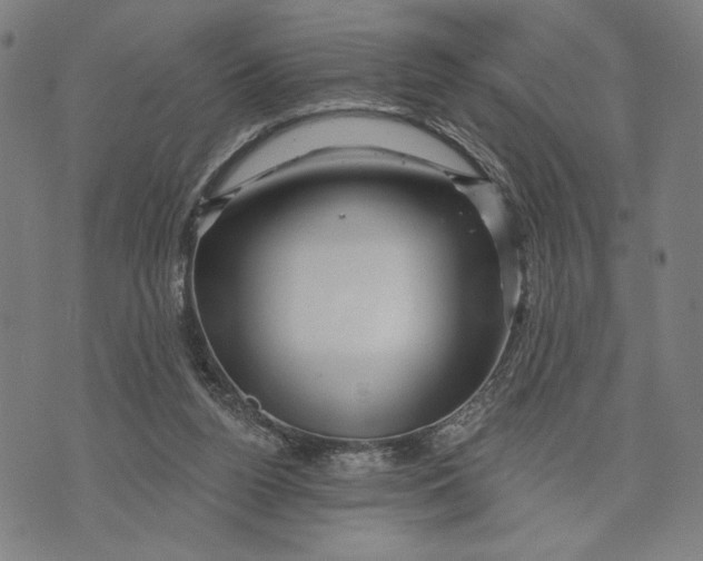 X0000073730160200608241306