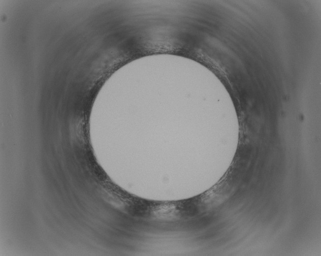 X0000073730162200608241306