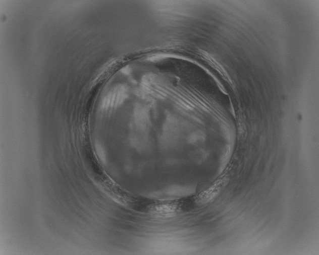 X0000073730163200608241306