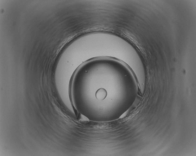 X0000073730164200608241306