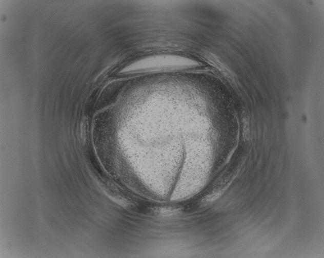 X0000073730165200608241306