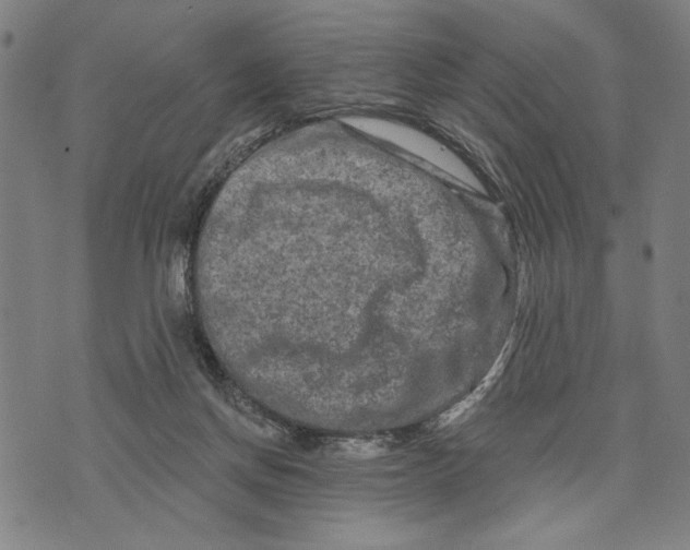 X0000073730166200608241306