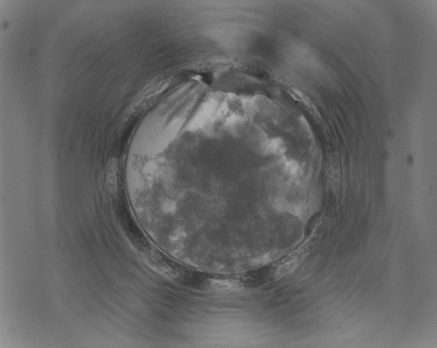 X0000073730167200608241306