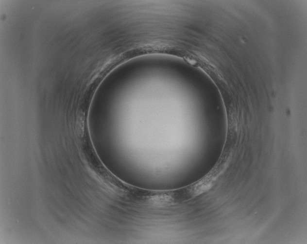 X0000073730168200608241306