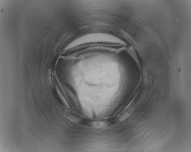 X0000073730169200608241306