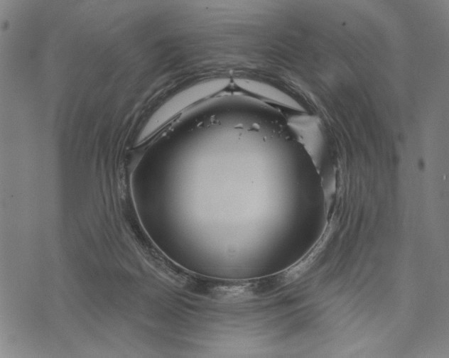 X0000073730170200608241306